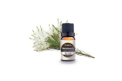 Óleo essencial de Melaleuca (Tea Tree)